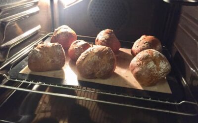 Ballonbrötchen