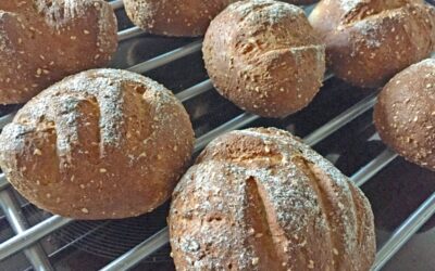 Kartoffelfaser Brötchen by Ballonbrötchen