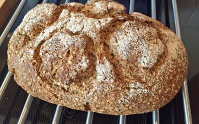 Buttermilch-Buchweizen-Leinsamen-Soja-Brot