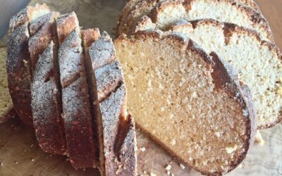 Lupinen-Kartoffelfaser-Linsen-Brot