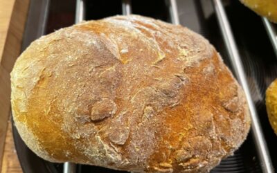 Kürbisbrötchen